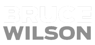 Bruce Wilson Shop logo